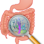 Sua Saúde e seu Intestino